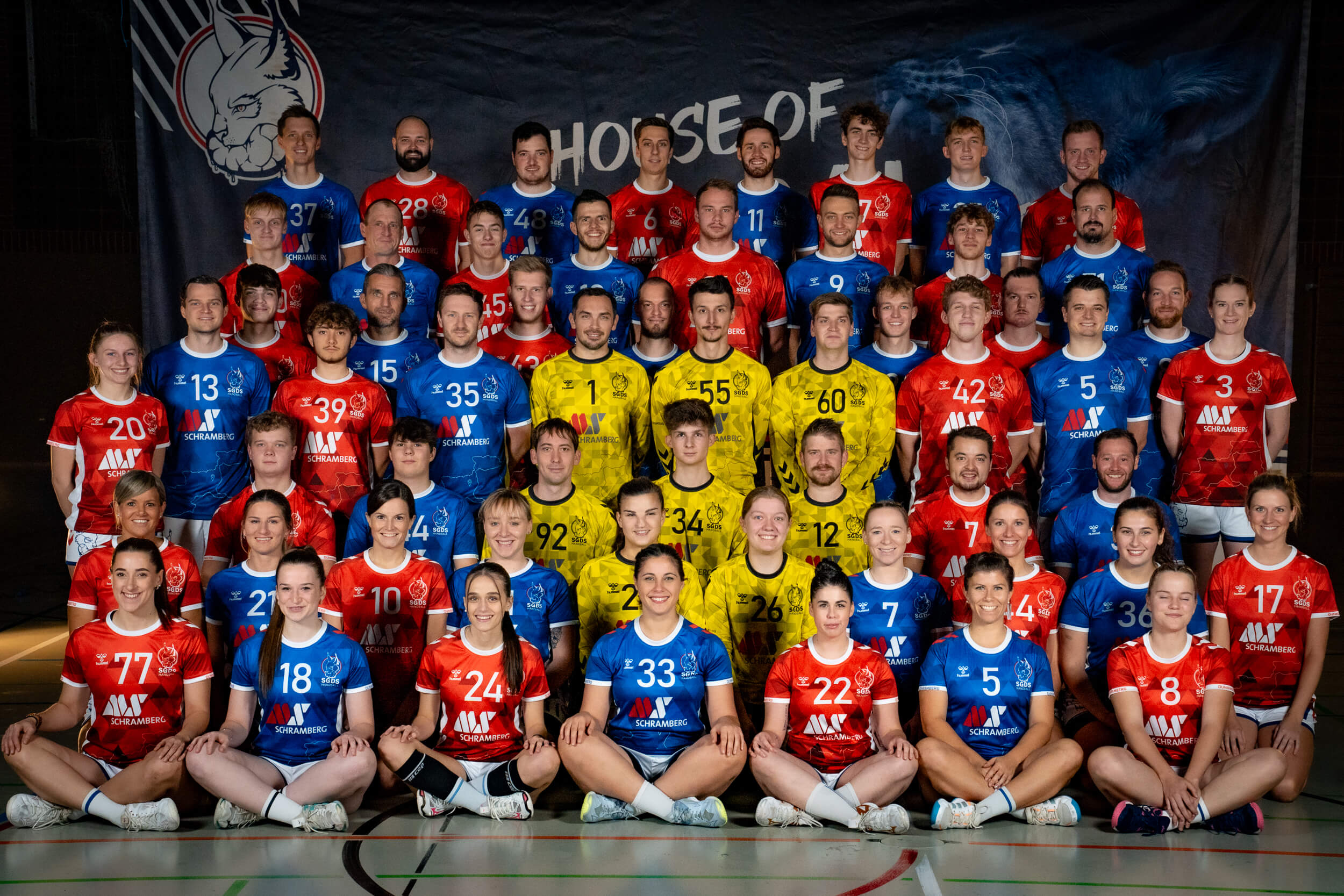 Handball | Mannschaftsbilder SGDS Saison 2023-2024